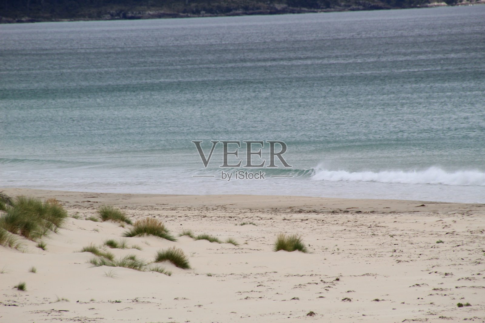 塔斯马尼亚东部海岸照片摄影图片