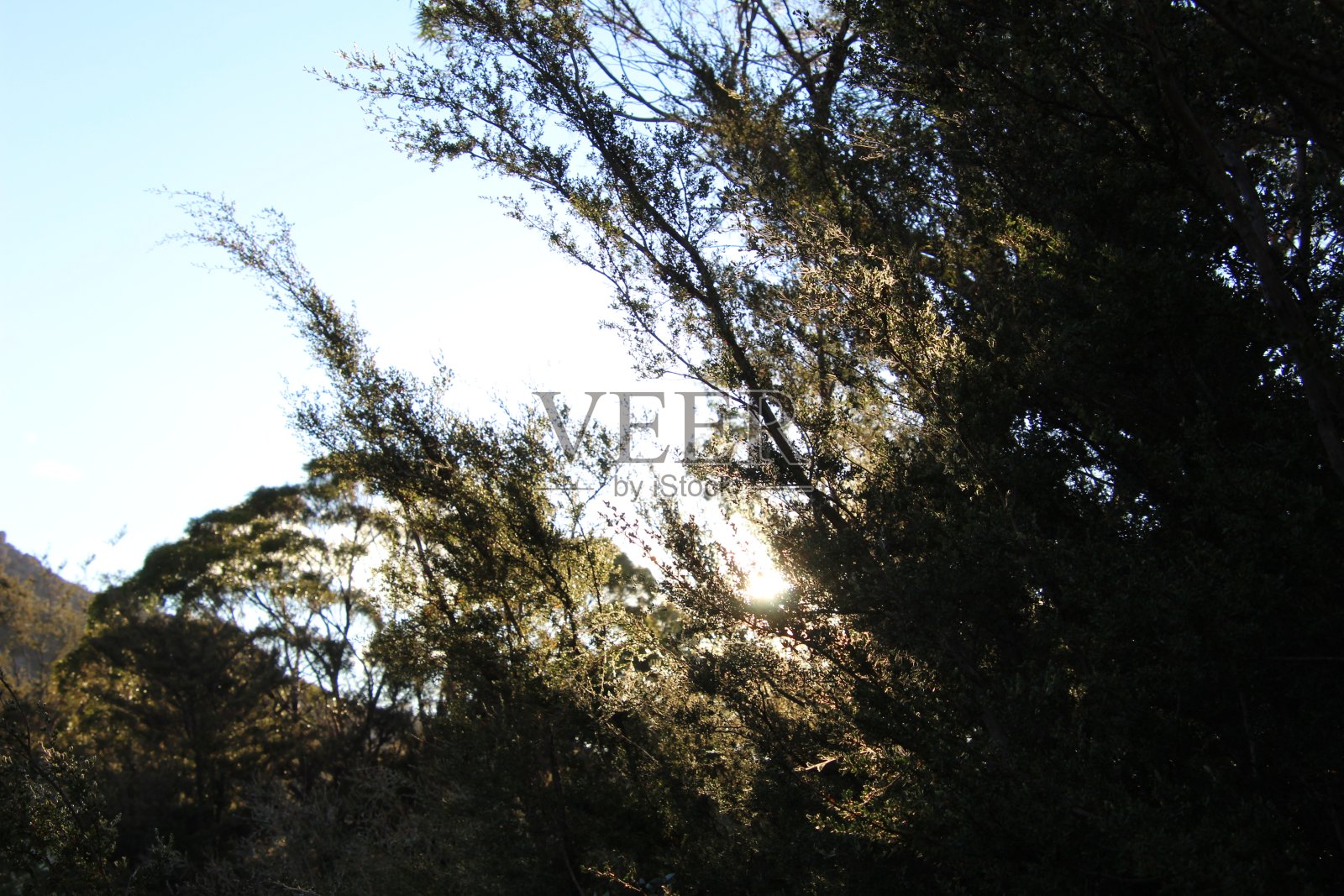 科尔斯湾照片摄影图片