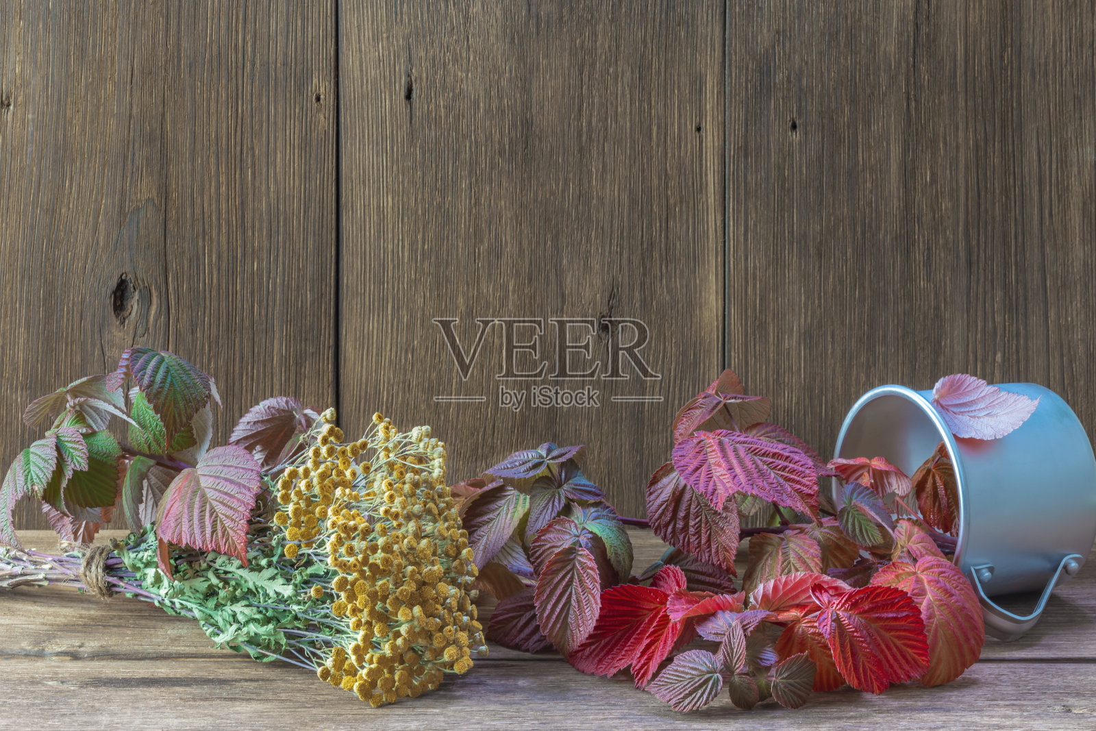 药用干燥和新鲜草药的制备。木制背景愈合覆盆子叶和艾菊。天然草药替代医学照片摄影图片