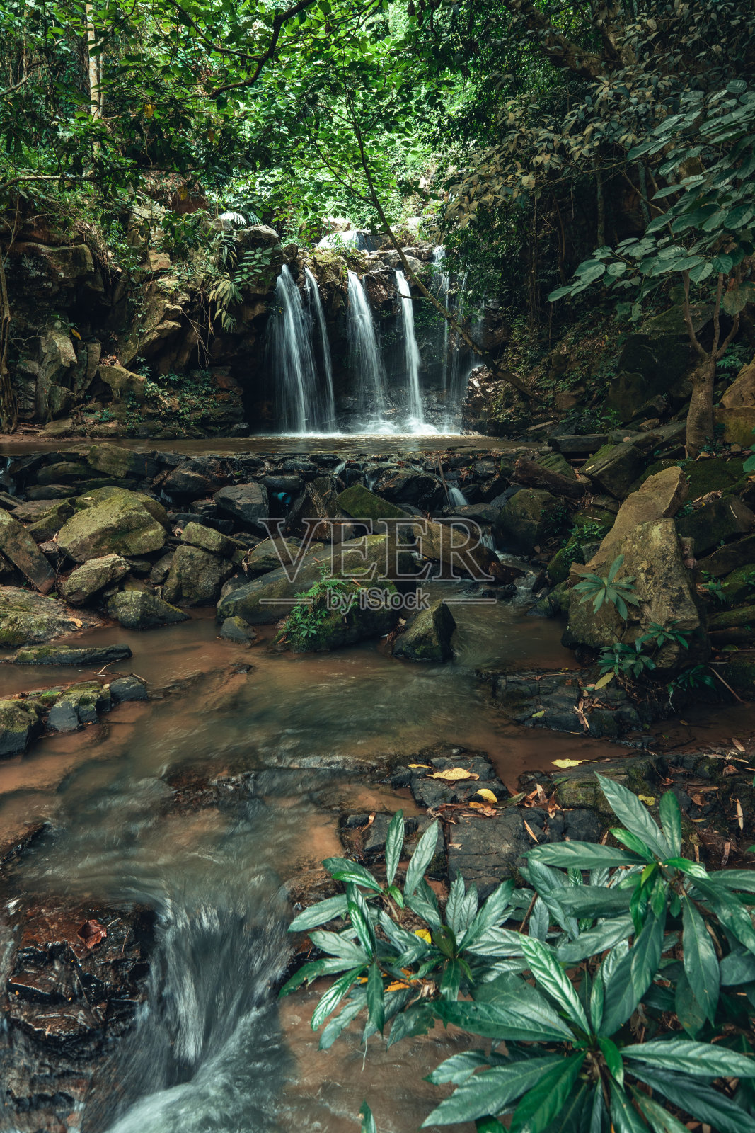 热带雨林的瀑布在雨季照片摄影图片
