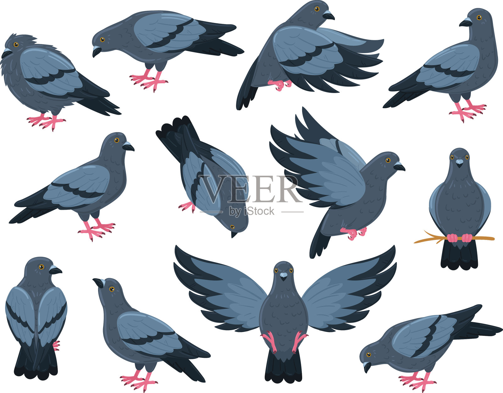卡通摇滚鸽子鸟城市鸽子鸟飞翔插画图片素材