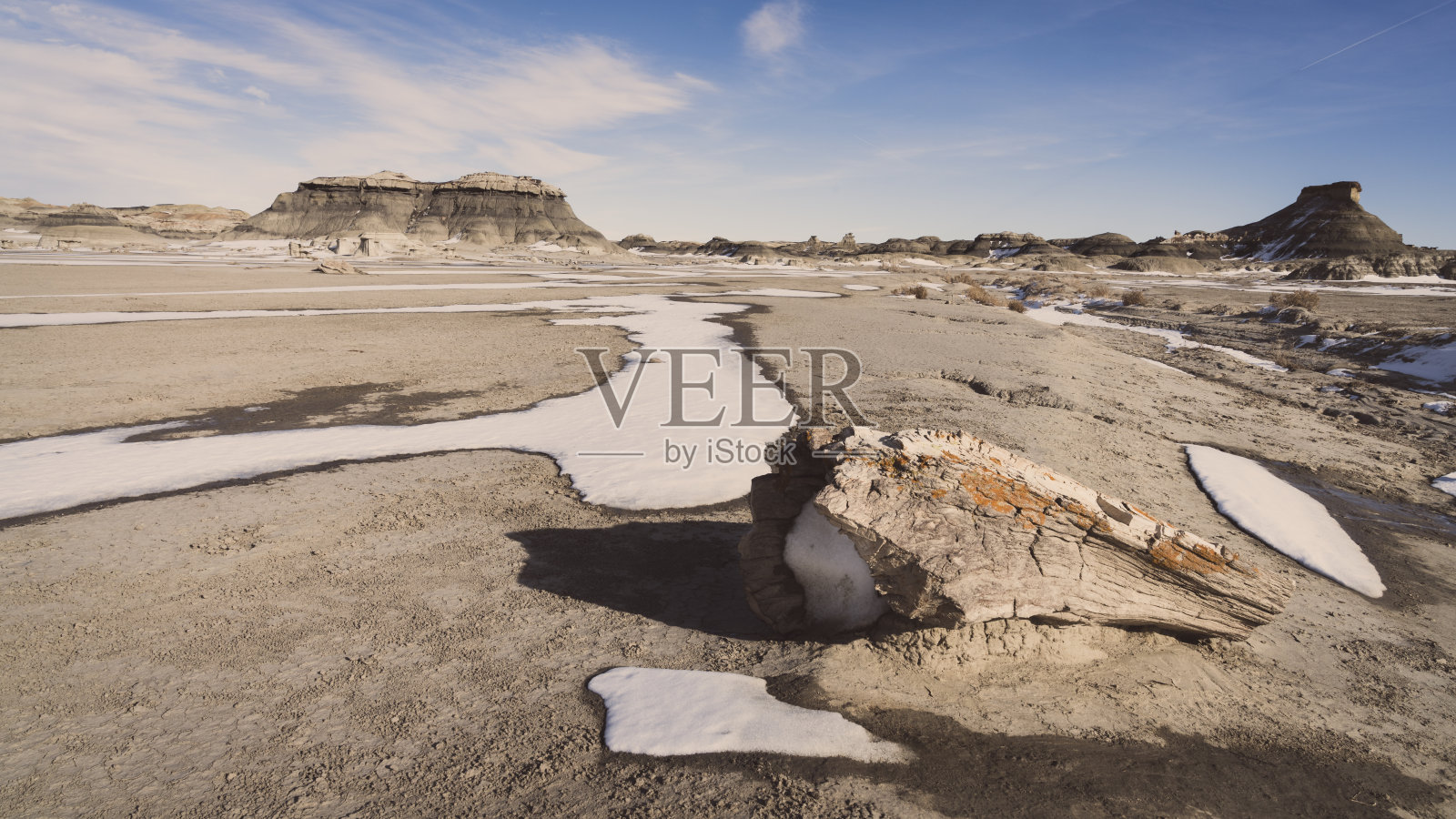 Bisti Badlands的石化木材照片摄影图片