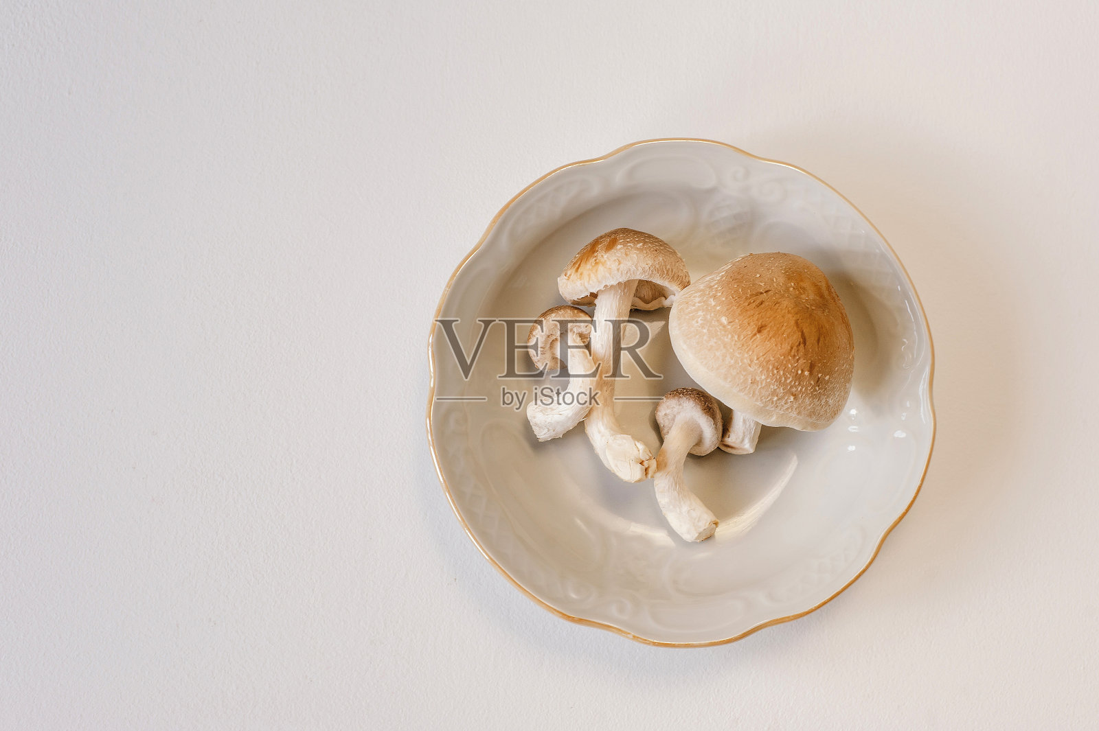 新鲜的香菇放在白色背景的盘子里。俯视图close up with copy space。照片摄影图片