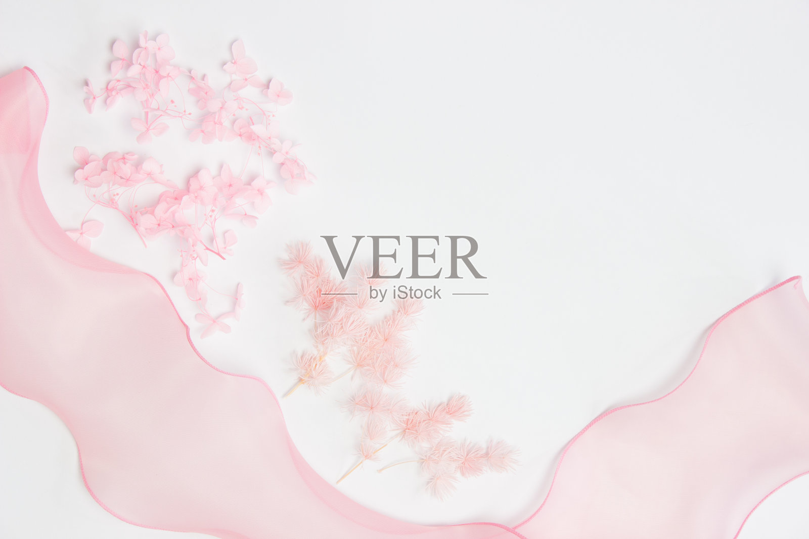 自然粉红色的花带白色的背景。照片摄影图片