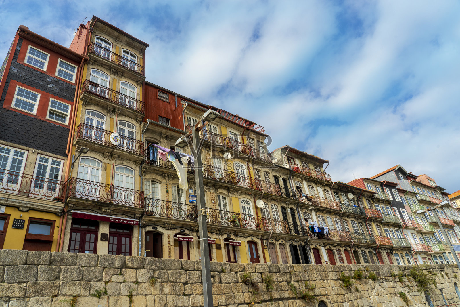 老腺鼠照片摄影图片