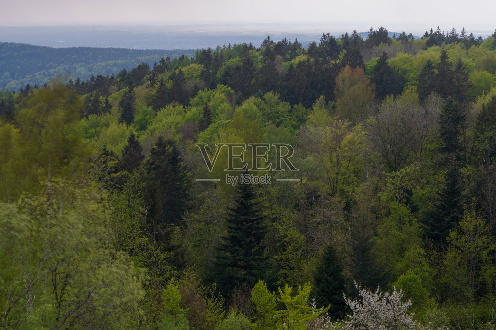 巴伐利亚森林里乌云密布的雷雨照片摄影图片