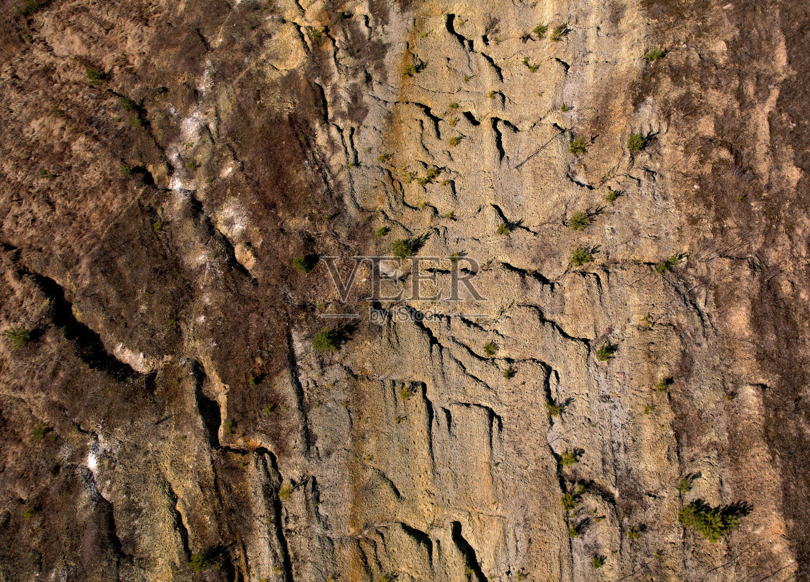 土壤土壤背景,俯视图。裂缝的地表。干燥土地的土地结构照片摄影图片