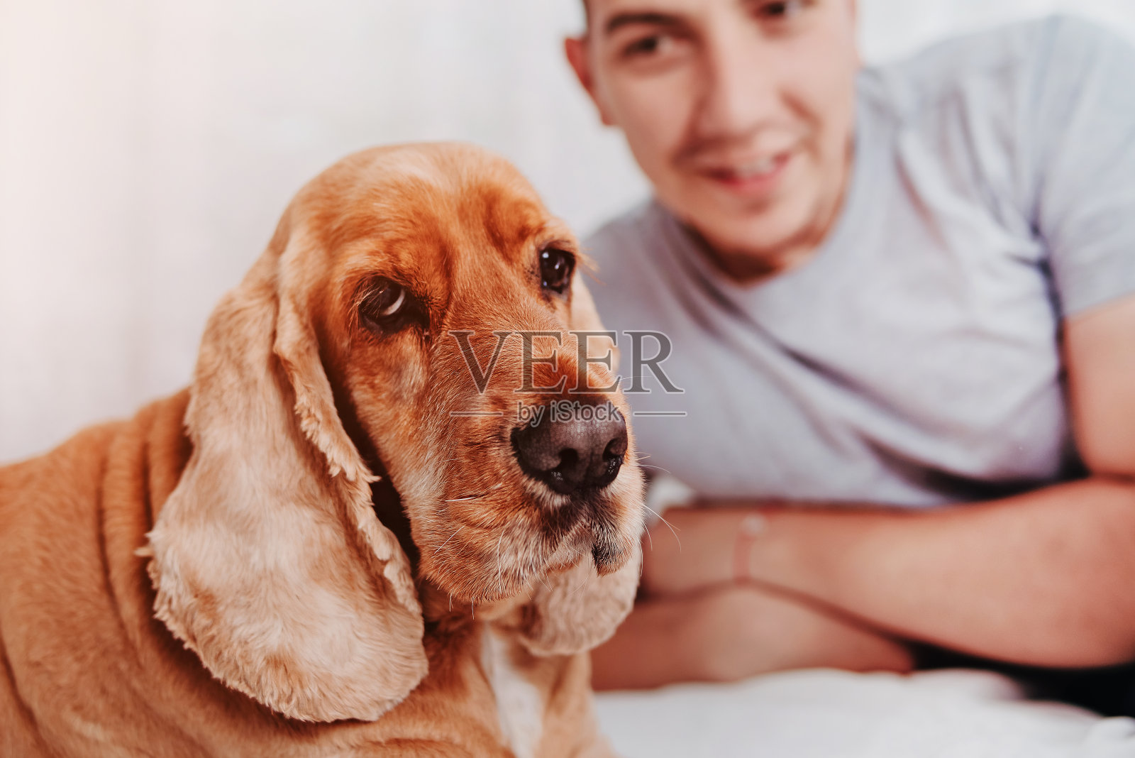 一个男人和他的狗在家里。我喜欢动物。特写肖像。一个快乐的人在家里和宠物狗玩耍。人类动物友谊理念。人与狗玩耍。照片摄影图片