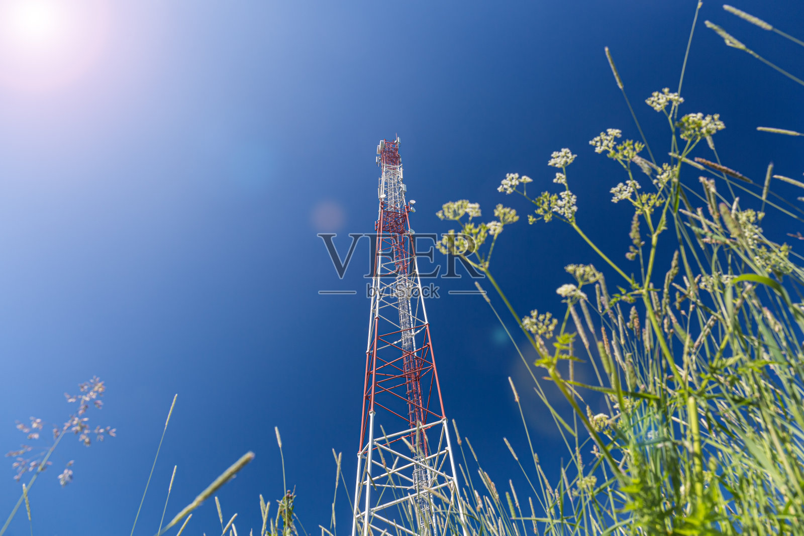 太阳、草坪和通信塔用微波、无线电面板天线、室外遥控无线电单元、电力电缆、同轴电缆、光纤安装在塔顶。照片摄影图片