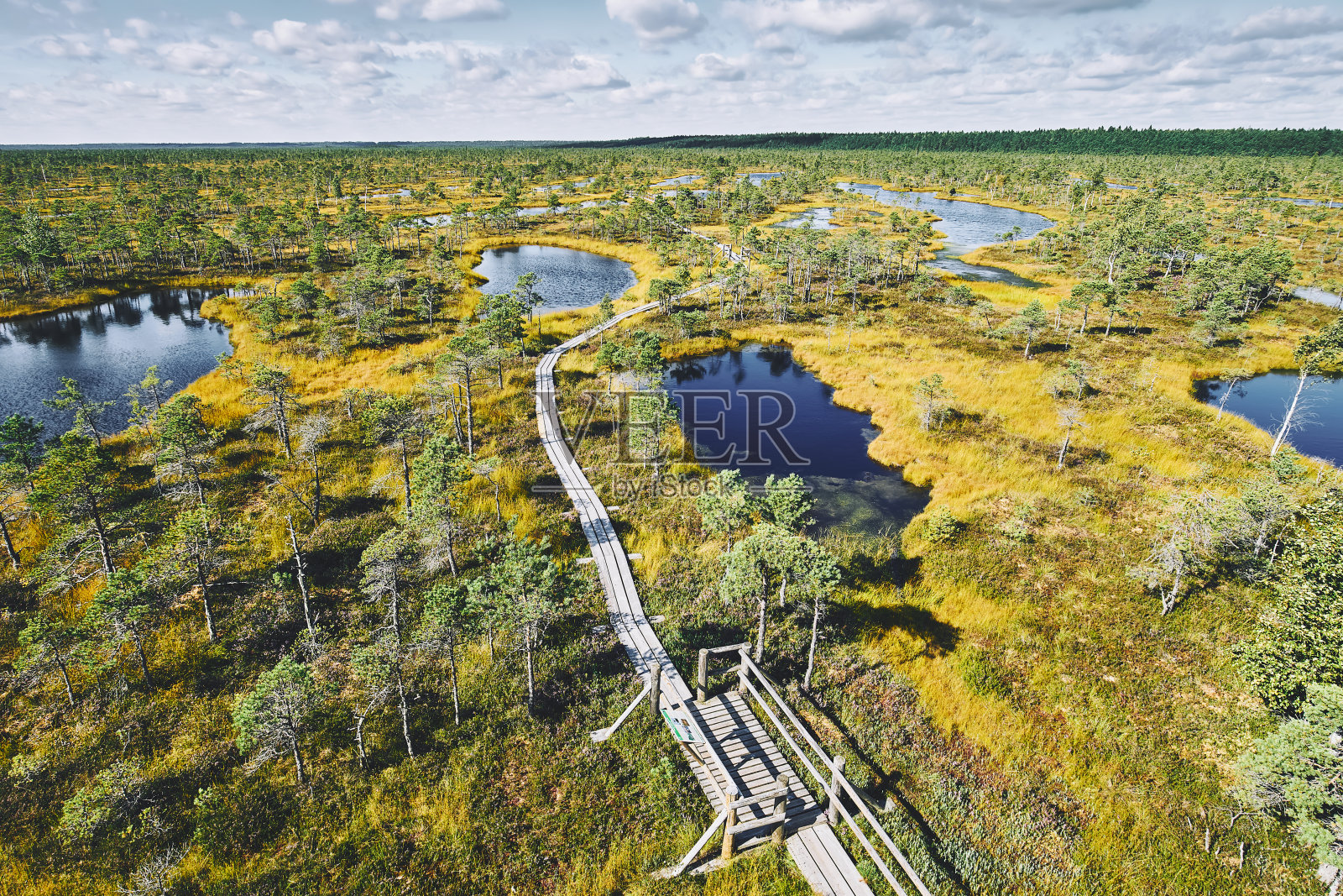 高地沼泽上的木板路,从瞭望塔上可以看到。拉脱维亚的克梅里国家公园照片摄影图片