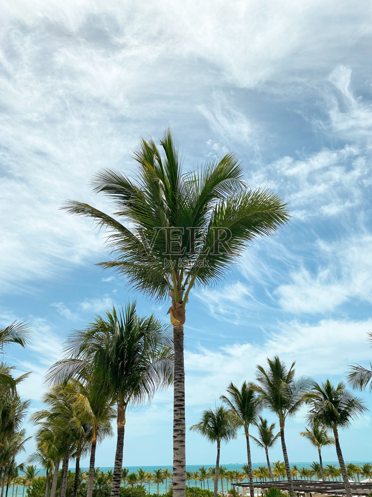 Costa Mujeres的海滩,墨西哥。加勒比海岸照片摄影图片