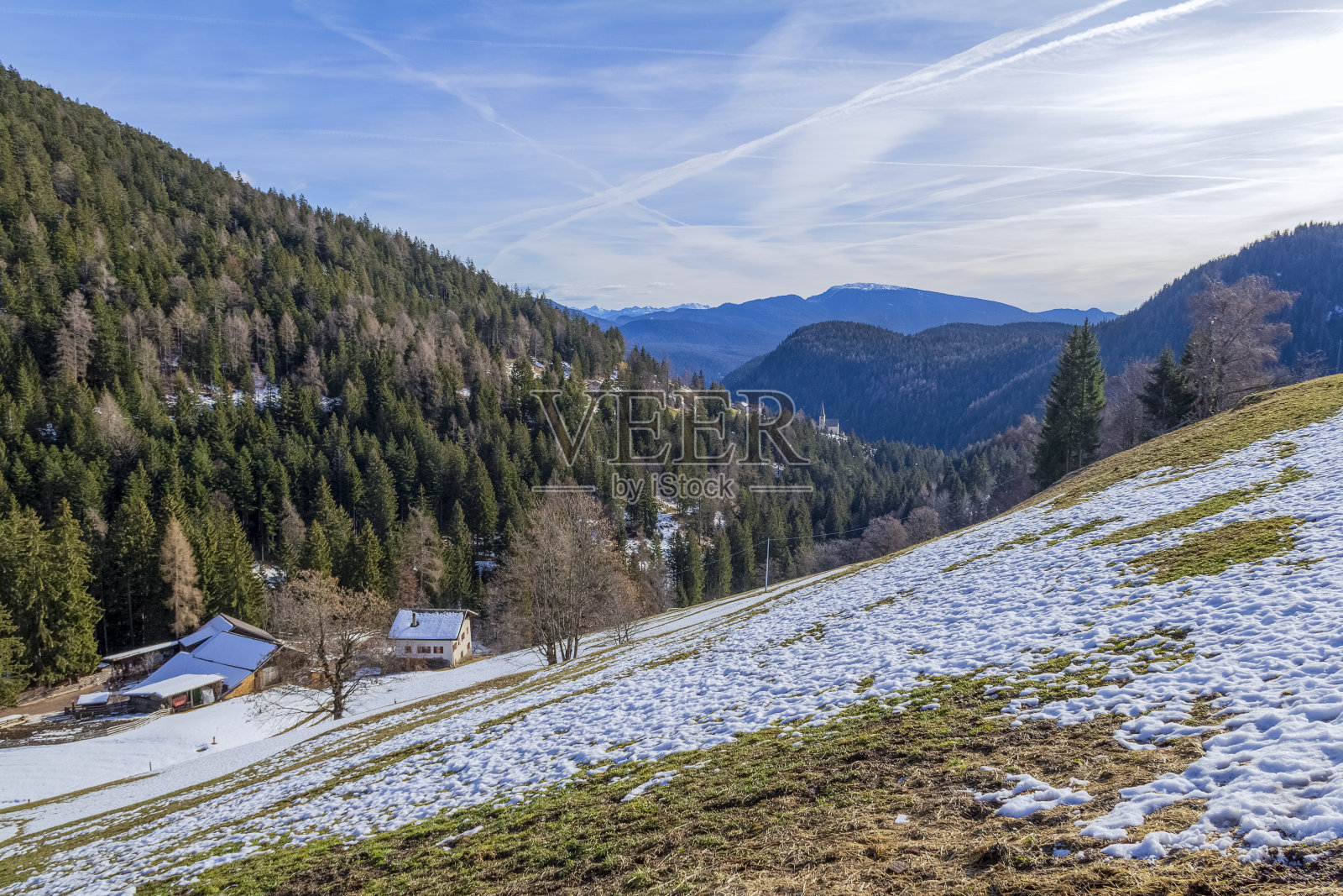 《林中圣母》照片摄影图片