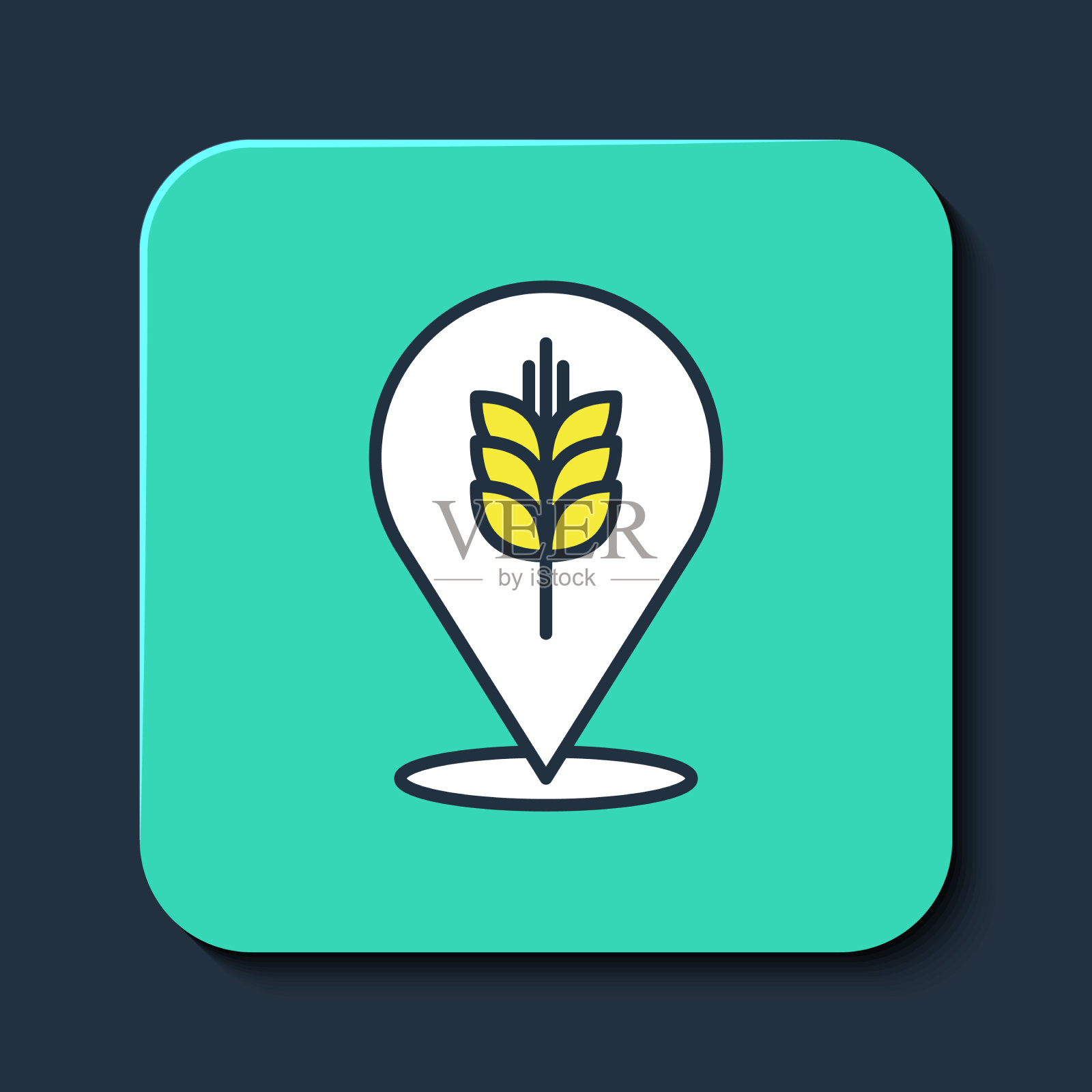 用大米、小麦、玉米填充轮廓谷物图标素材