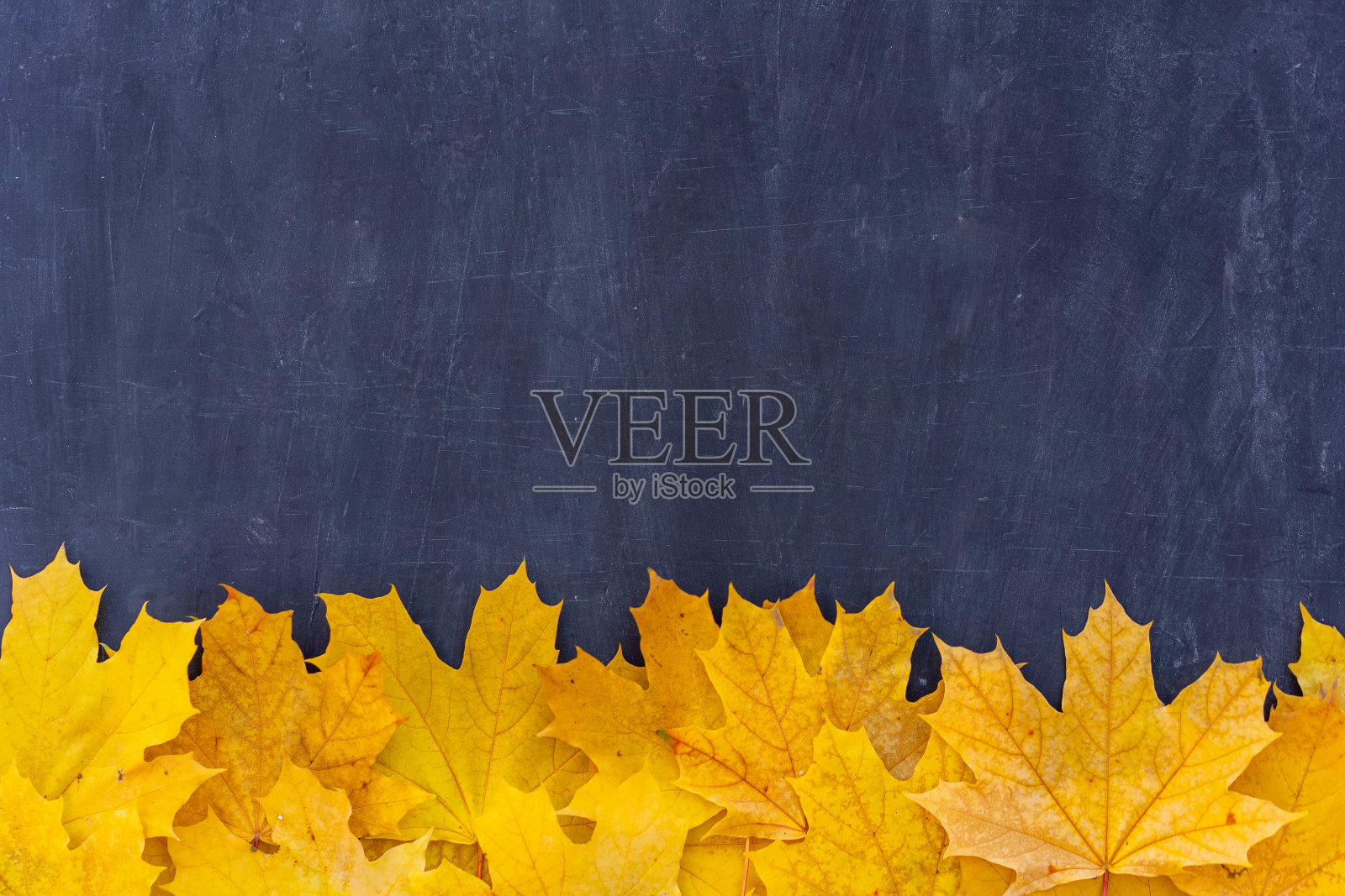 秋叶框架上的黑色背景顶视图秋天的边界黄色和橙色叶子复古结构表Copy空间的文本。照片摄影图片