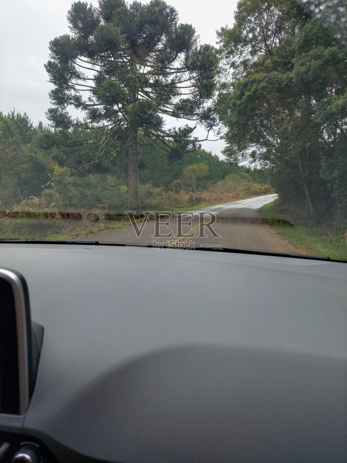 巴西南大河州多云天气下的公路照片摄影图片