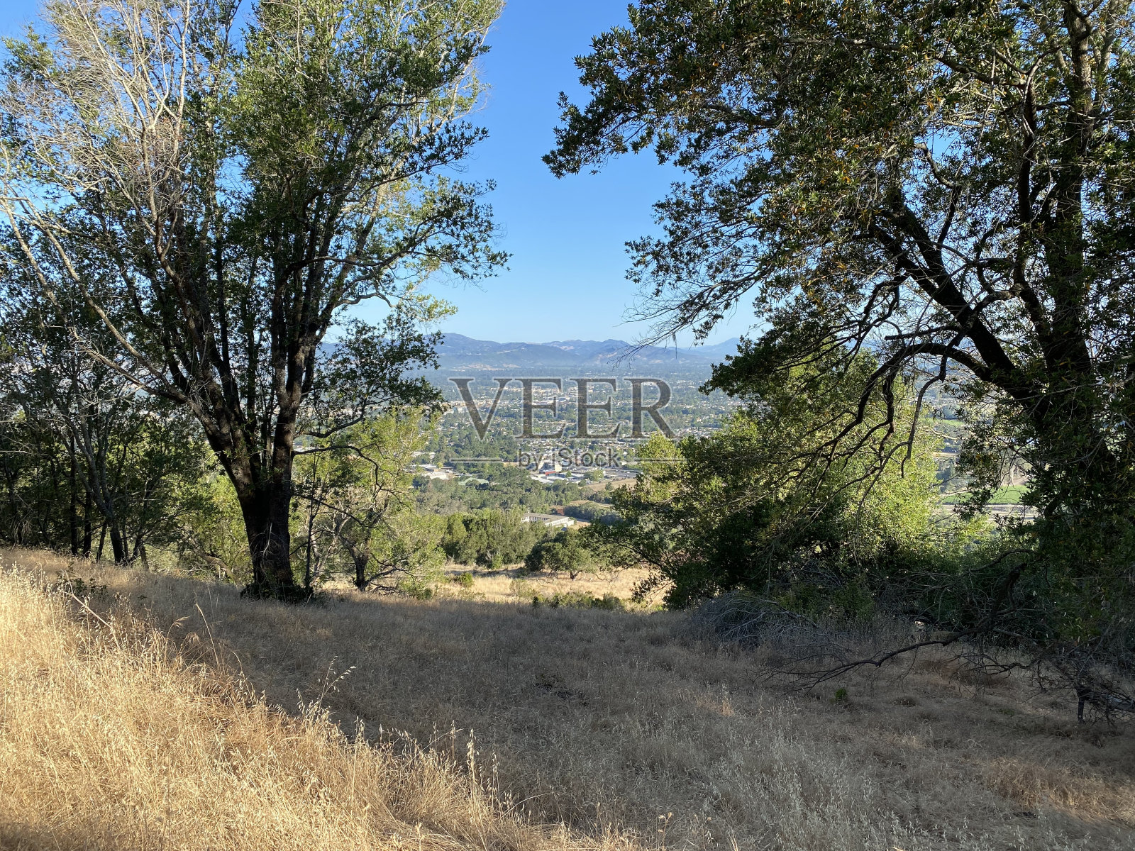 加州纳帕谷照片摄影图片
