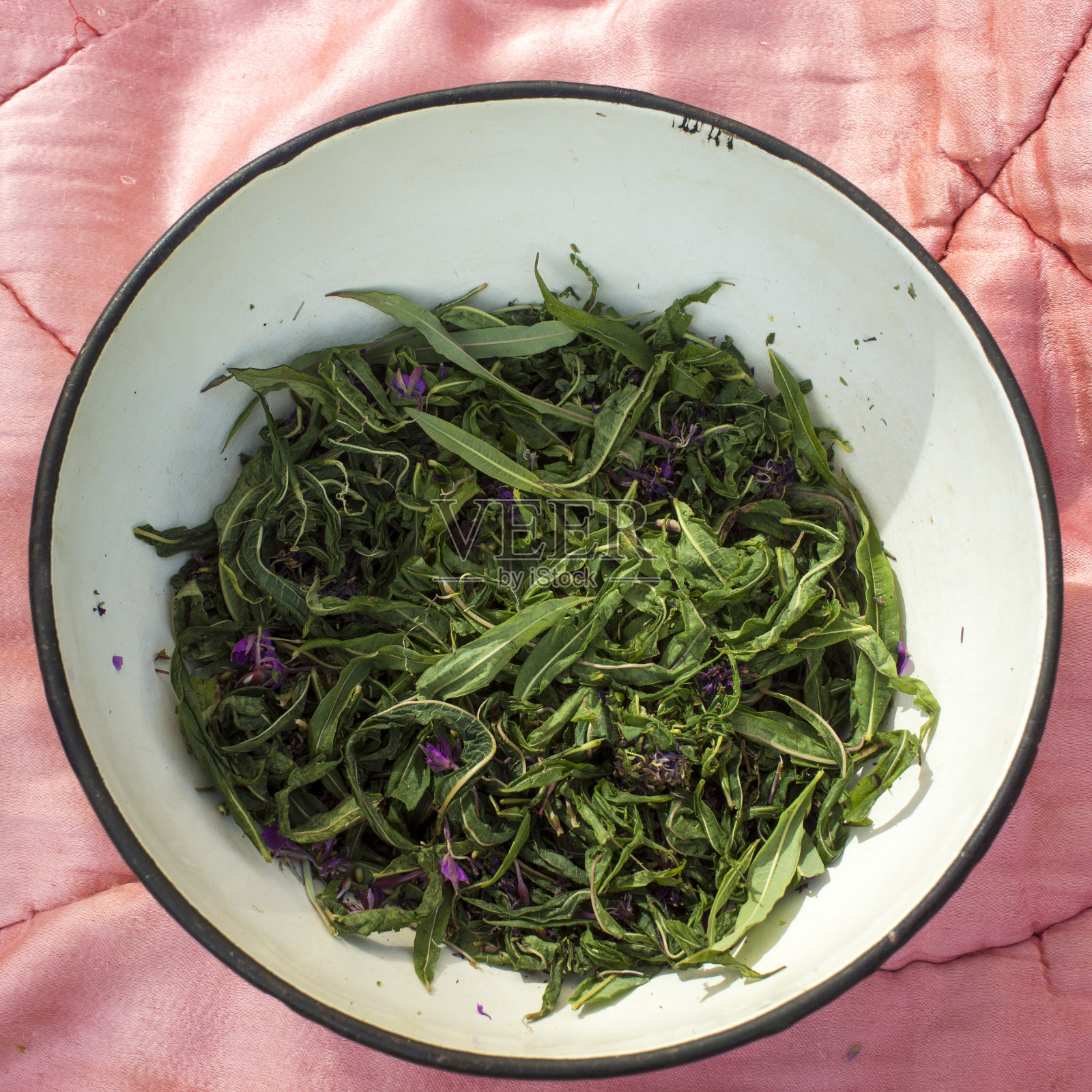 茶的发酵过程。手工加工伊凡茶发酵照片摄影图片