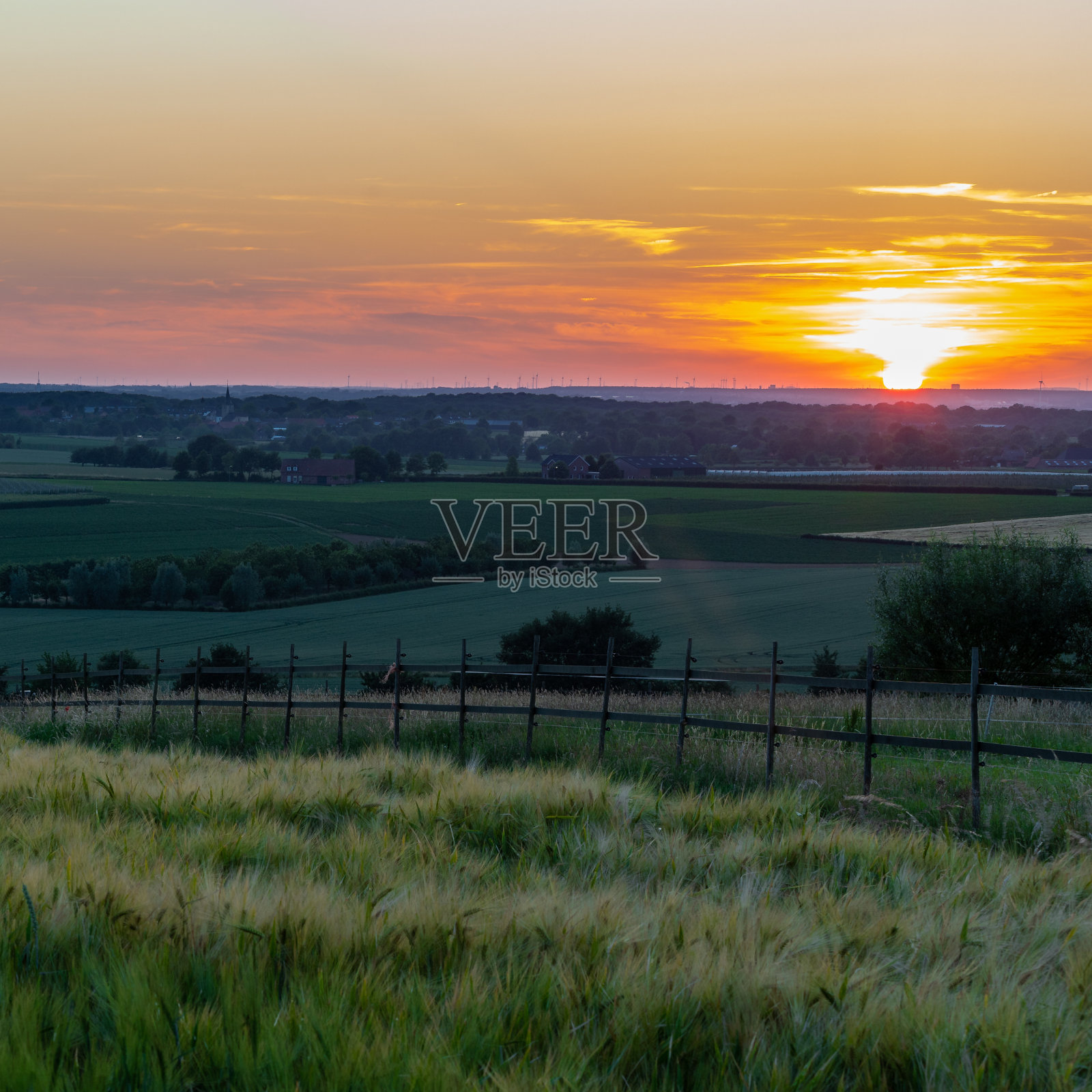在荷兰南林堡的班霍特,连绵起伏的山丘上,金色的日落营造出节日的氛围照片摄影图片