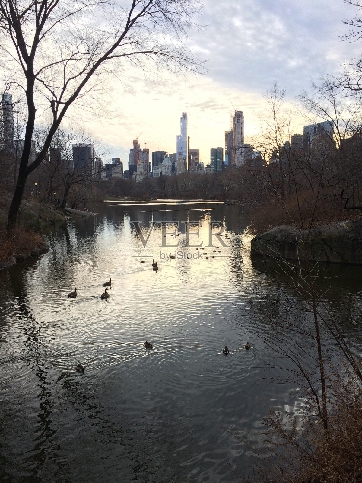 纽约照片摄影图片