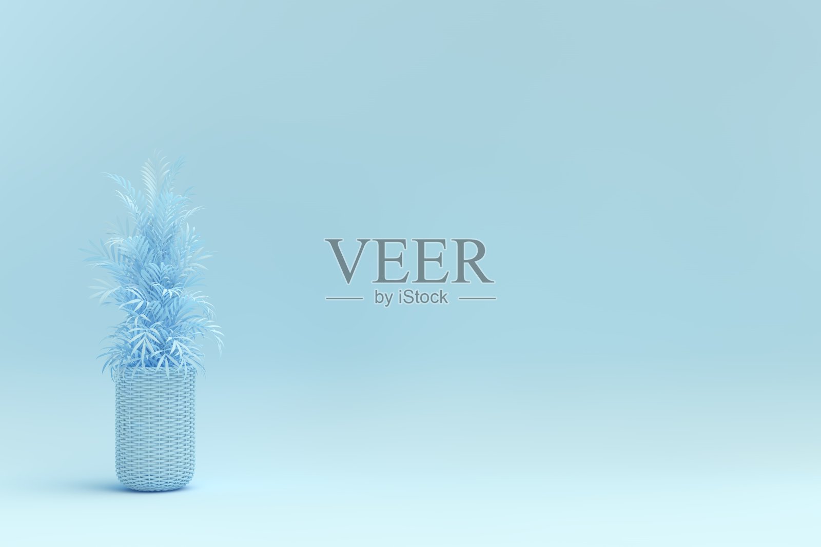 3 d盆栽植物照片摄影图片