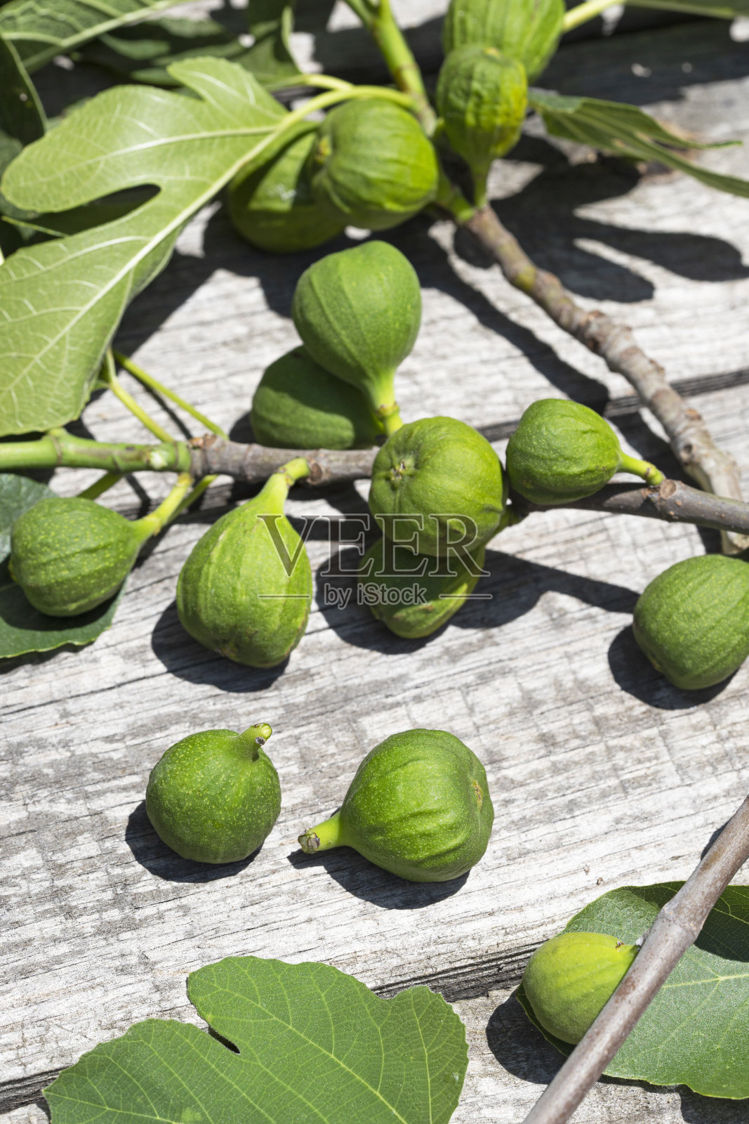 无花果照片摄影图片