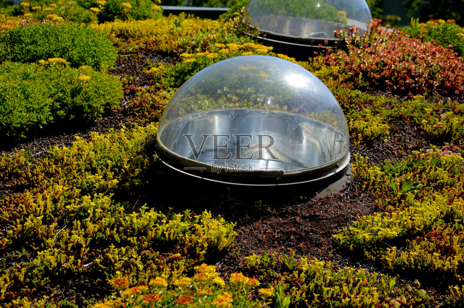 设计天窗。但也有经典的圆顶或平面天窗,它们适用于平屋顶结构。有宇宙窗的屋顶花园,屋顶花园照片摄影图片