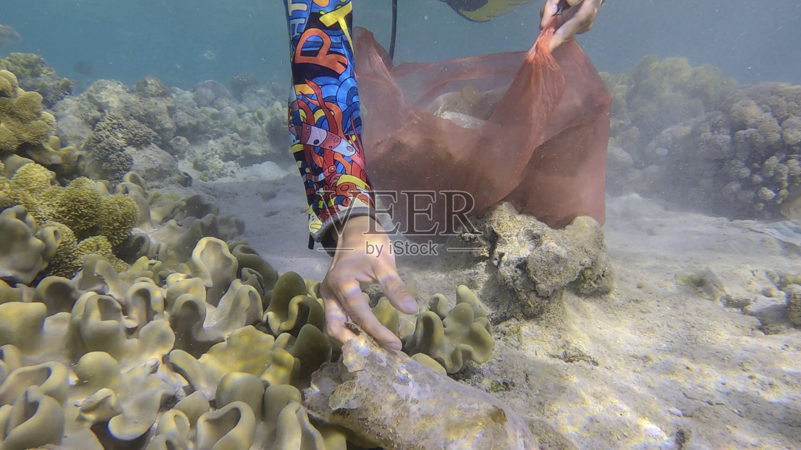 戴着潜水设备的女人在水下珊瑚礁底部游泳并收集塑料垃圾。浮潜者清理海洋中的塑料污染。海洋的塑料污染。埃及红海照片摄影图片