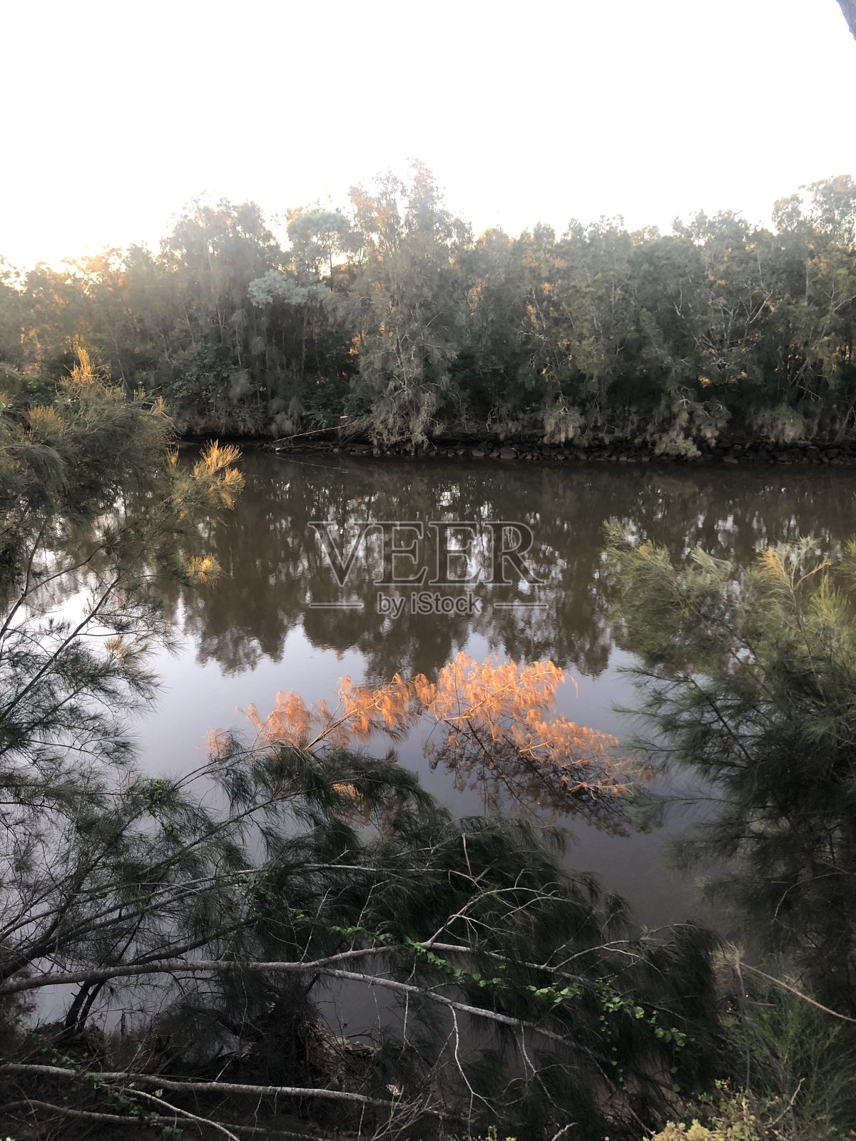 秋天的落叶照片摄影图片