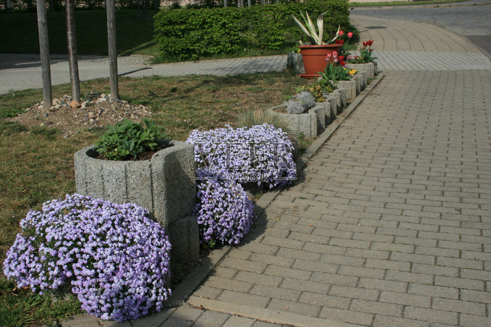 公共花园和国际公园照片摄影图片