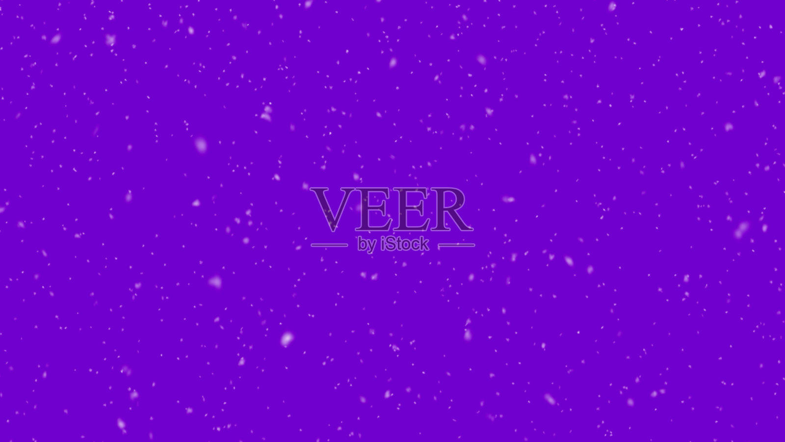 雪花落在紫罗兰的背景,冬天的雪。三维渲染照片摄影图片