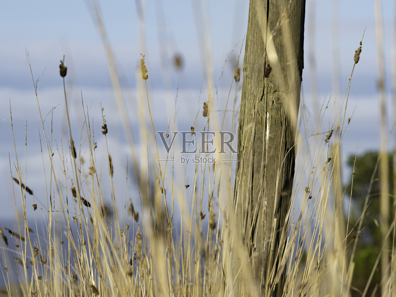 干草和栅栏杆照片摄影图片