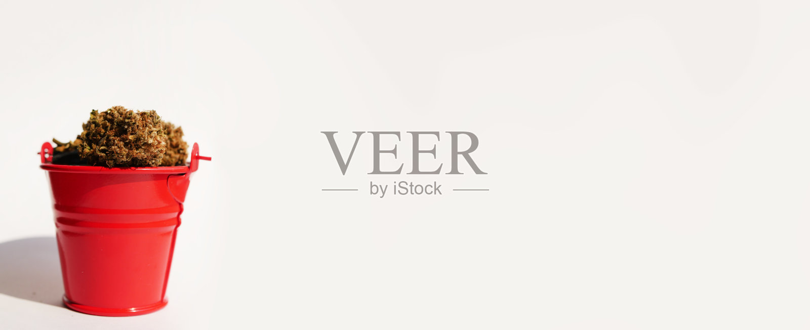 大麻收获横幅照片摄影图片