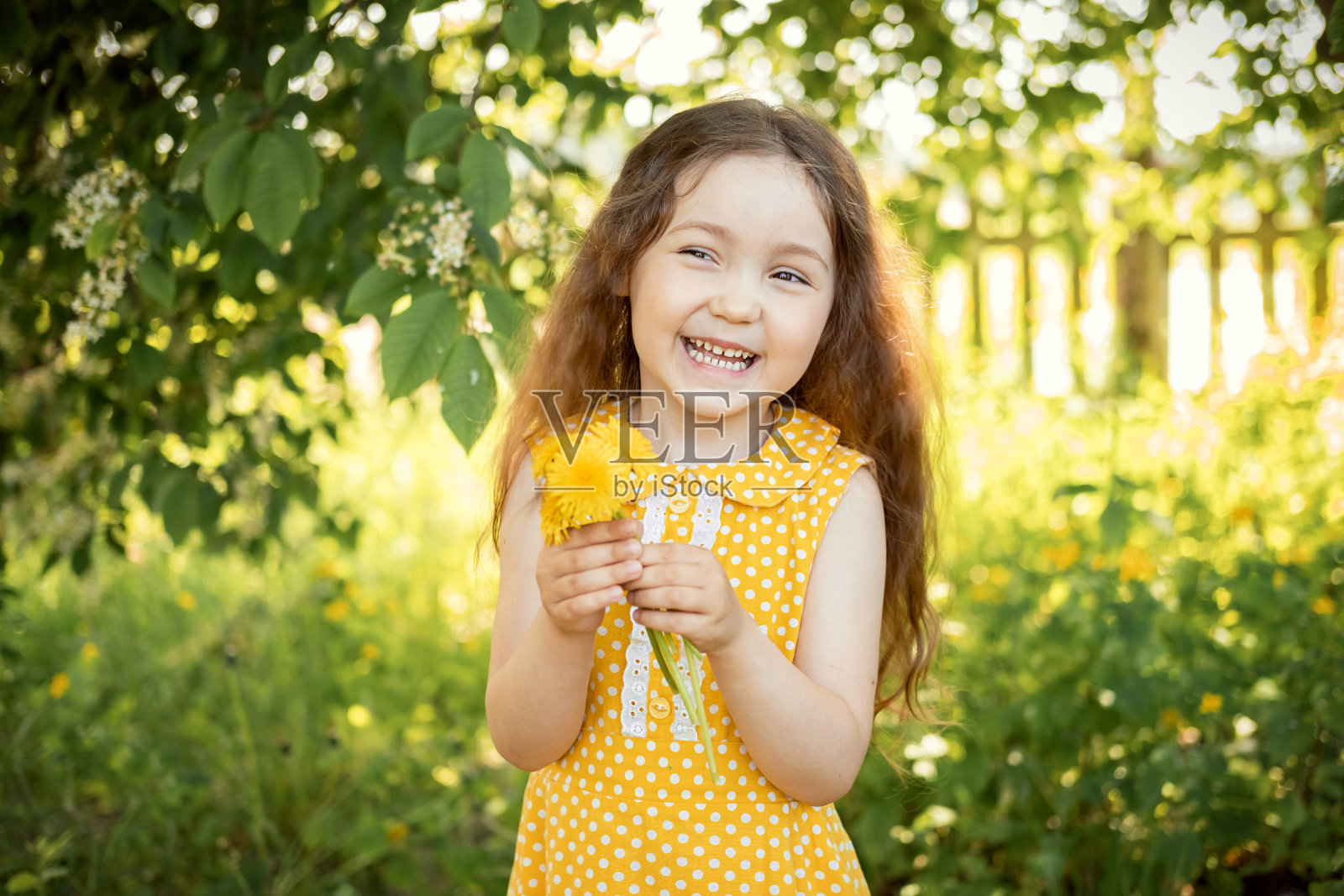 夏天的肖像可爱美丽的微笑笑白种人小女孩在公园的黄色连衣裙与她的手在她的黄色蒲公英在阳光的日子。照片摄影图片