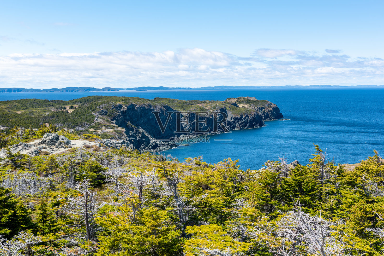 低头,保姆洞和睡眠湾小径,乌鸦头,Twillingate,加拿大照片摄影图片