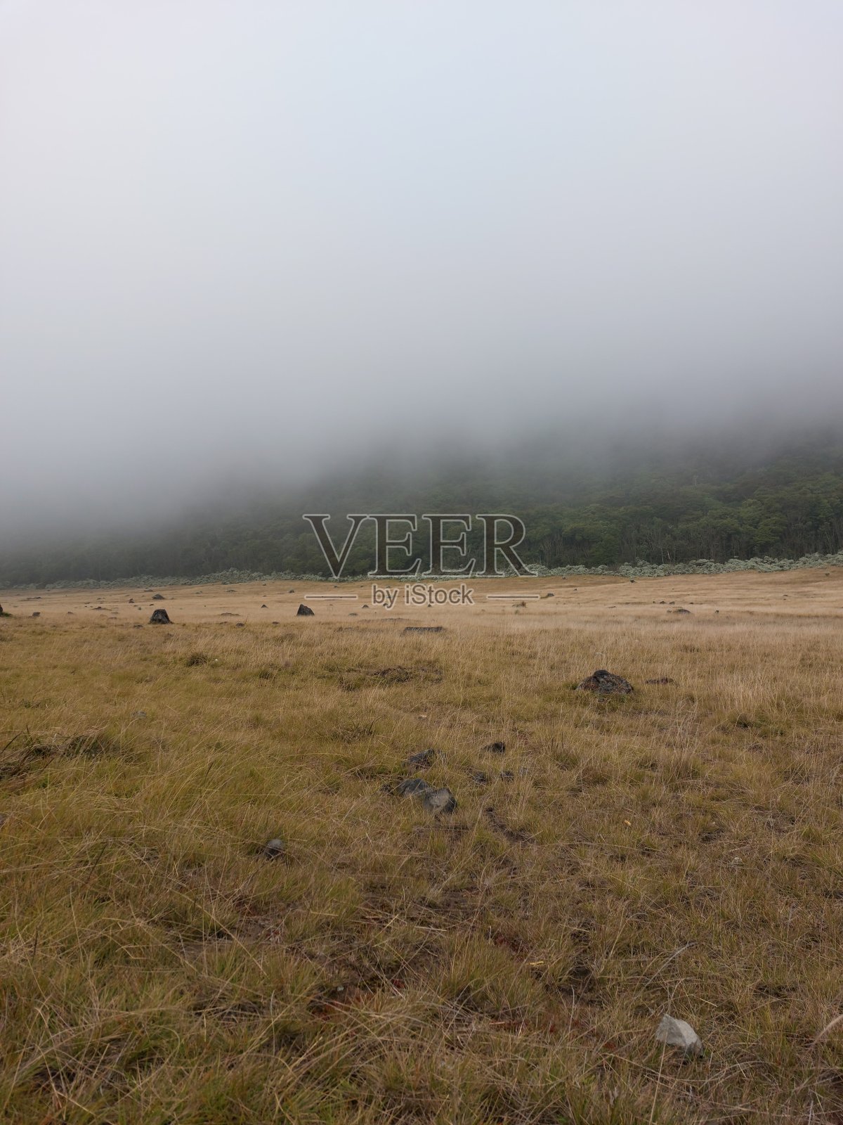 安静的地方照片摄影图片