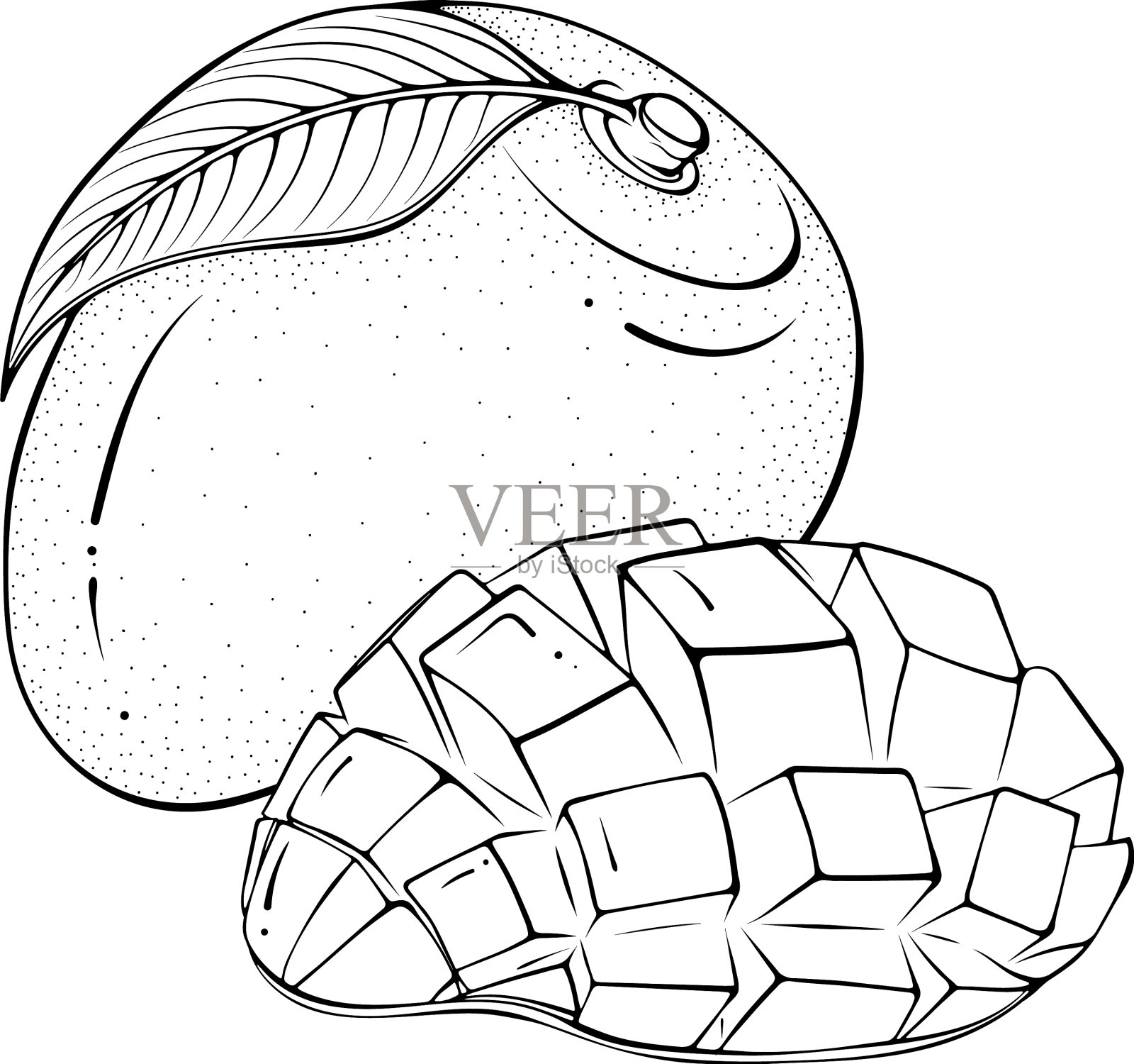 整个和切碎的半个芒果插画图片素材