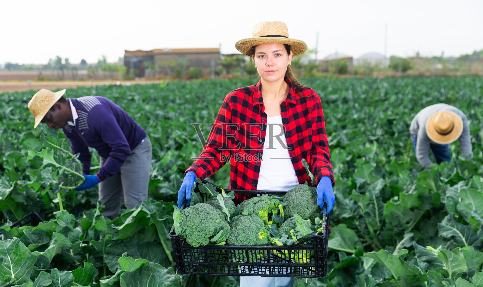 年轻的农妇抱着一箱花椰菜的肖像照片摄影图片