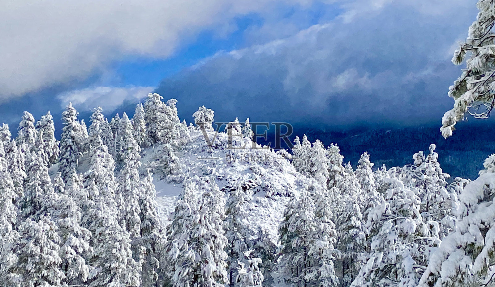 在帕戈萨斯普林斯过圣诞节照片摄影图片