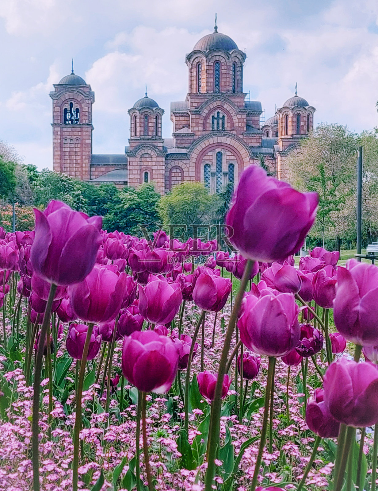 目的地照片摄影图片