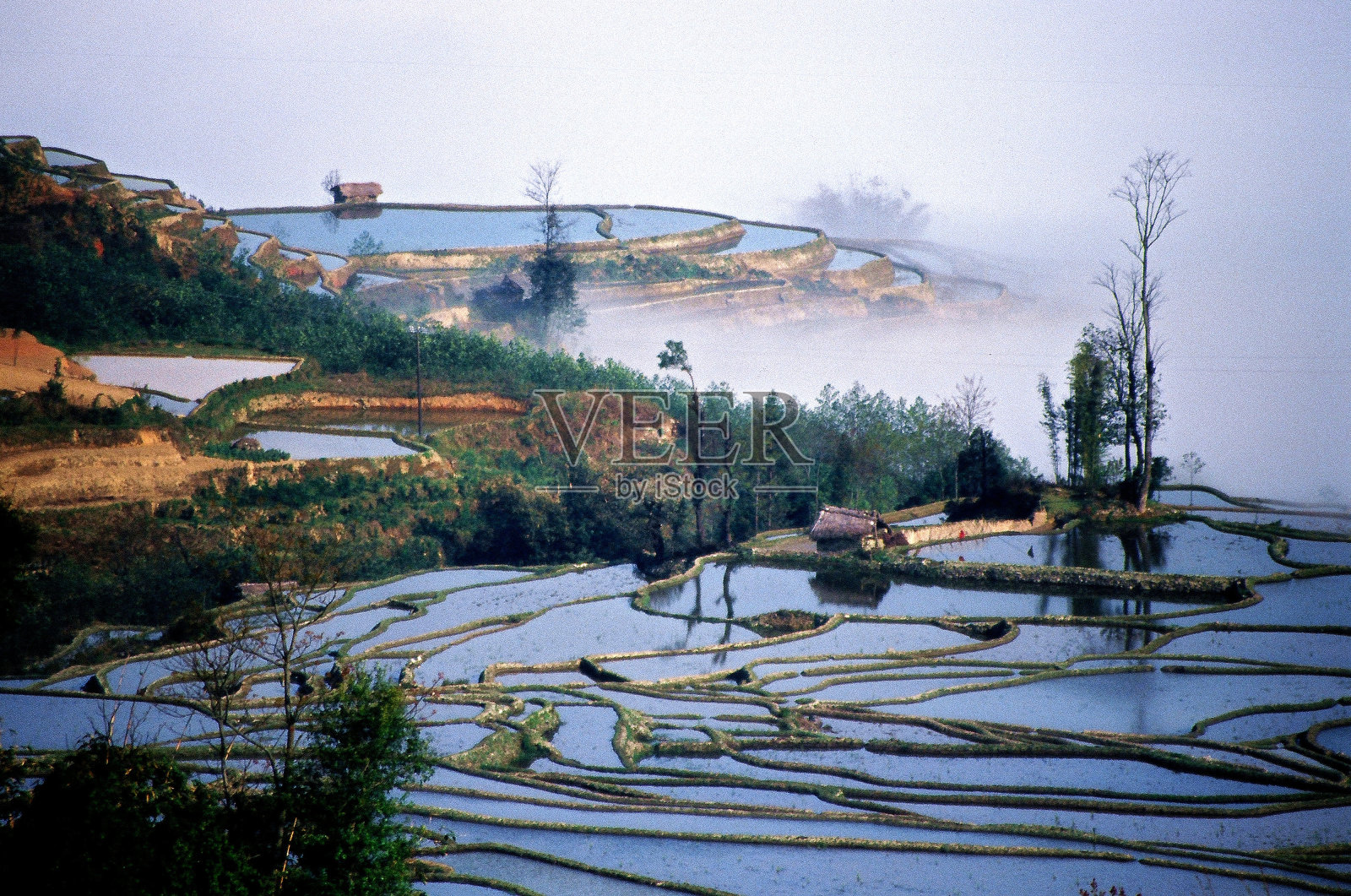 日出时的山地梯田照片摄影图片