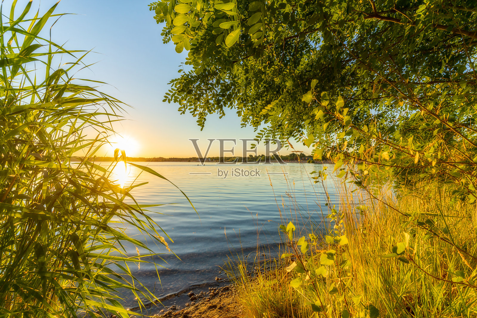 夏天湖边的绿叶后面美丽的日落照片摄影图片