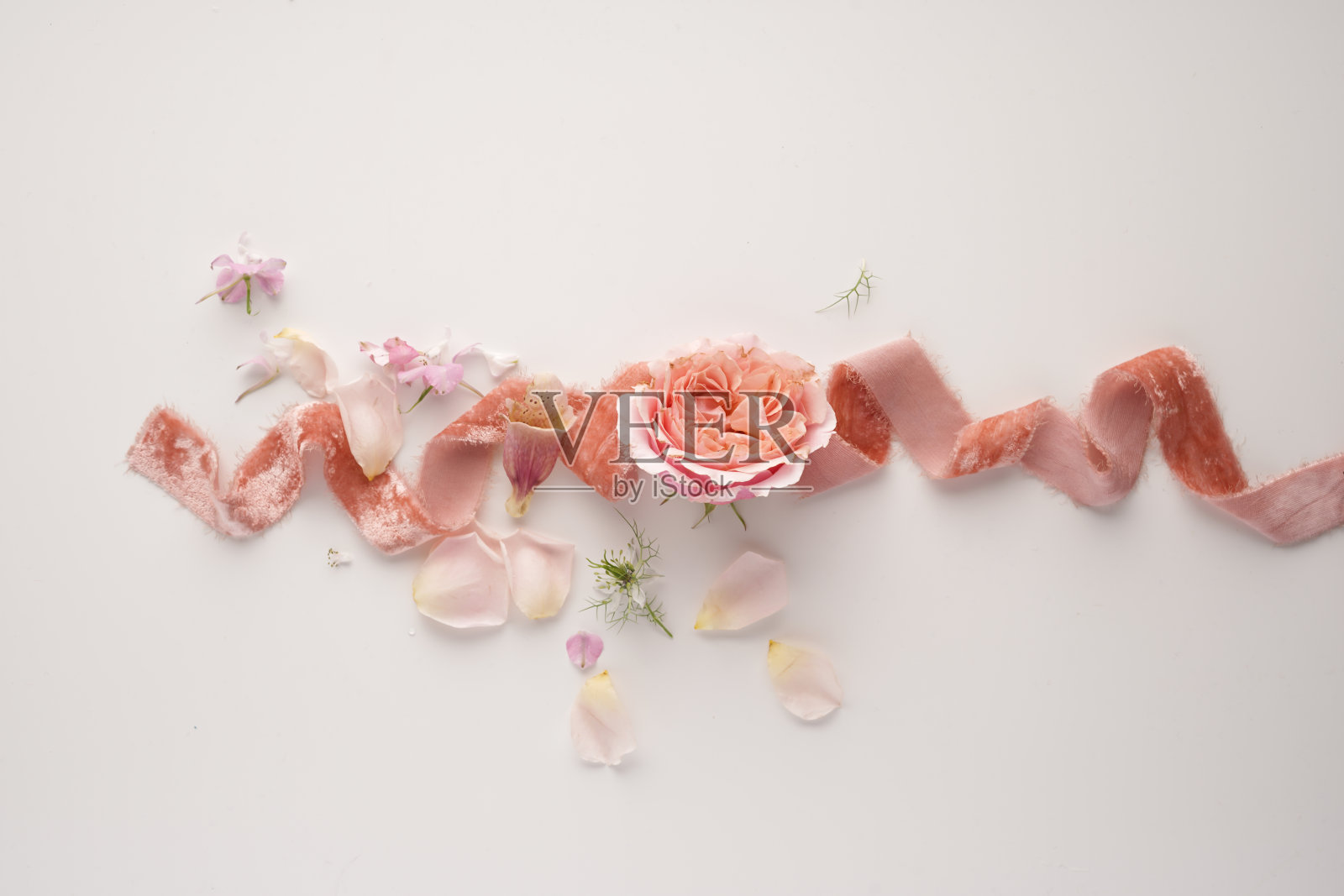 婚礼构图,淡粉色丝绒丝带在白色背景上,一朵玫瑰照片摄影图片