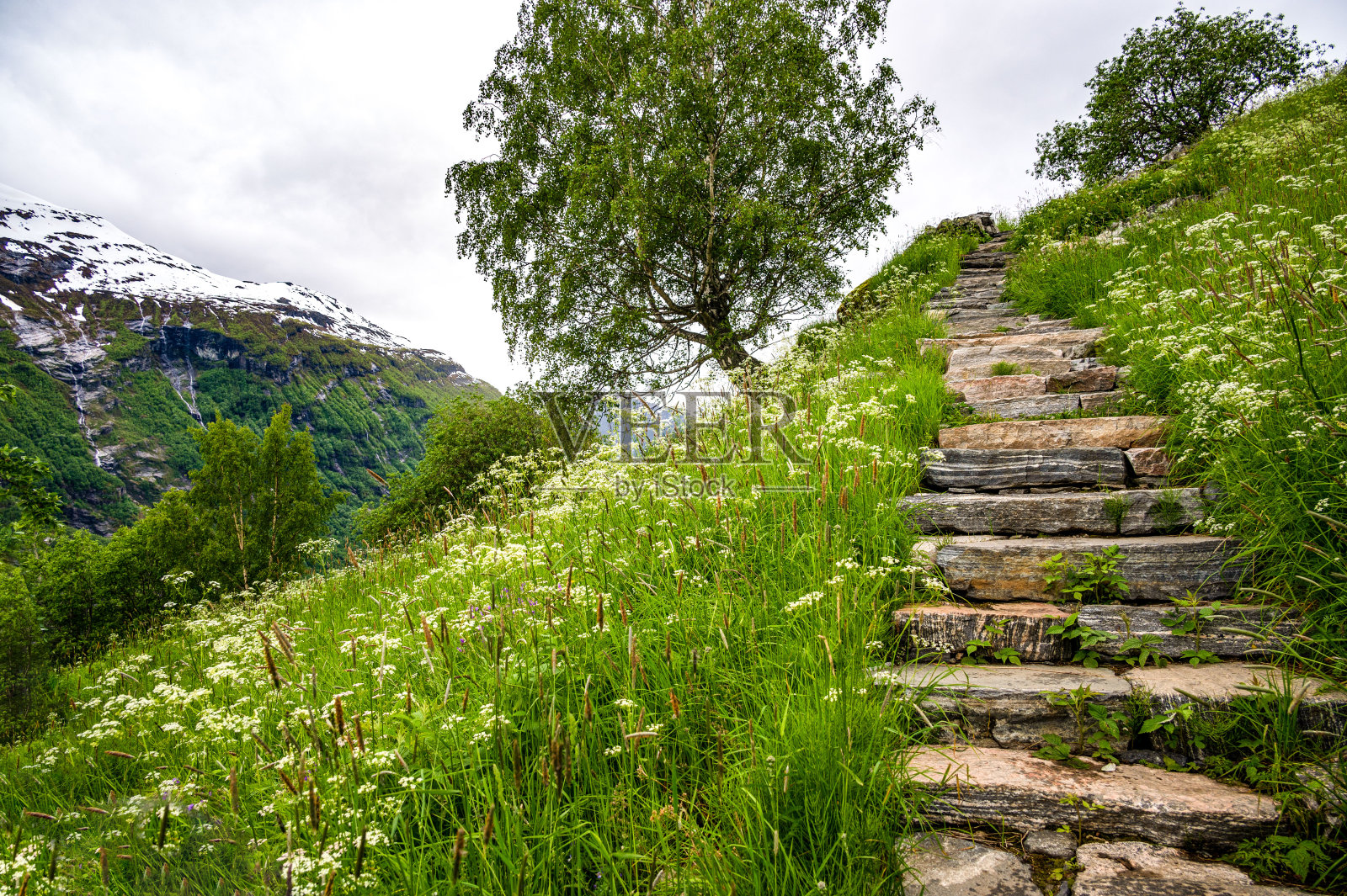 踏石小径在山坡上照片摄影图片