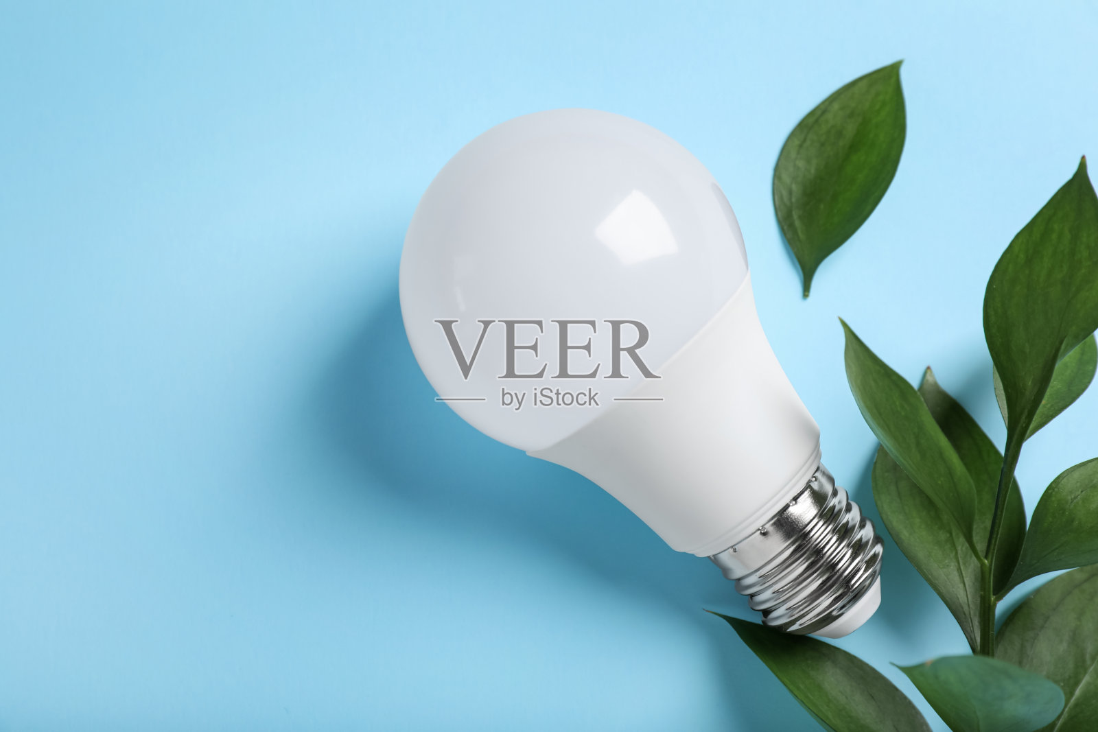 灯泡和树枝以绿叶为背景,平铺。空间的文本照片摄影图片