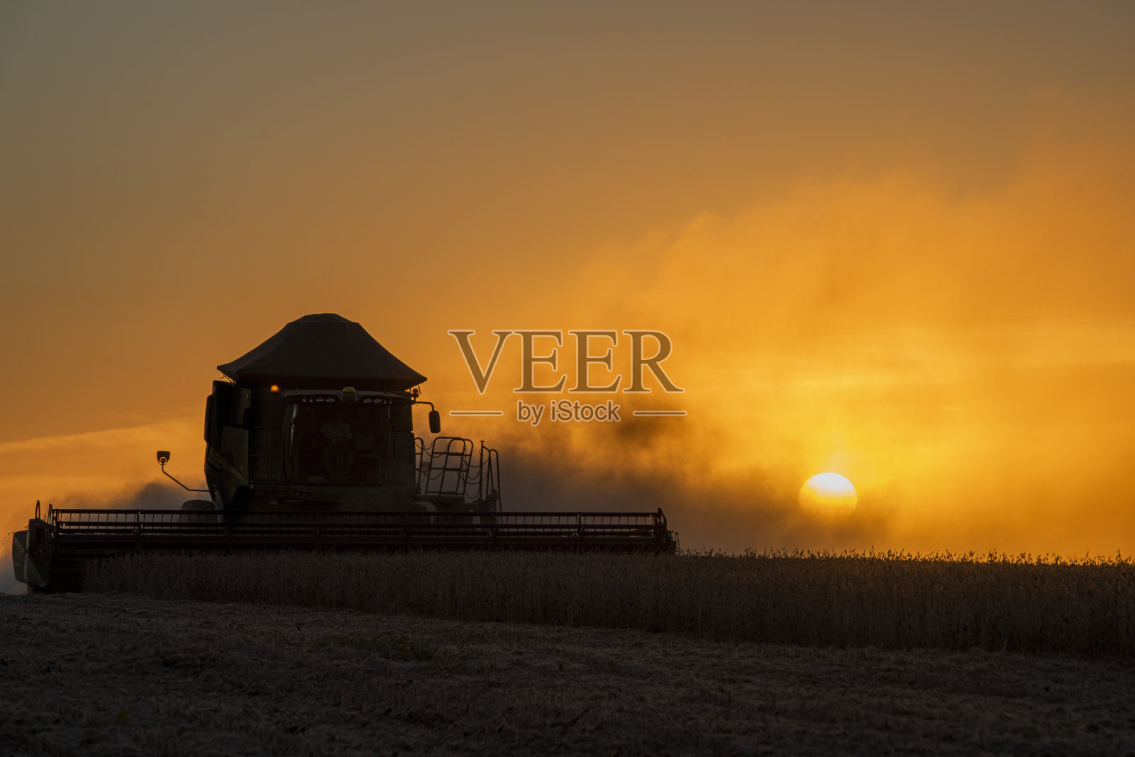 日落时分收获大豆。照片摄影图片