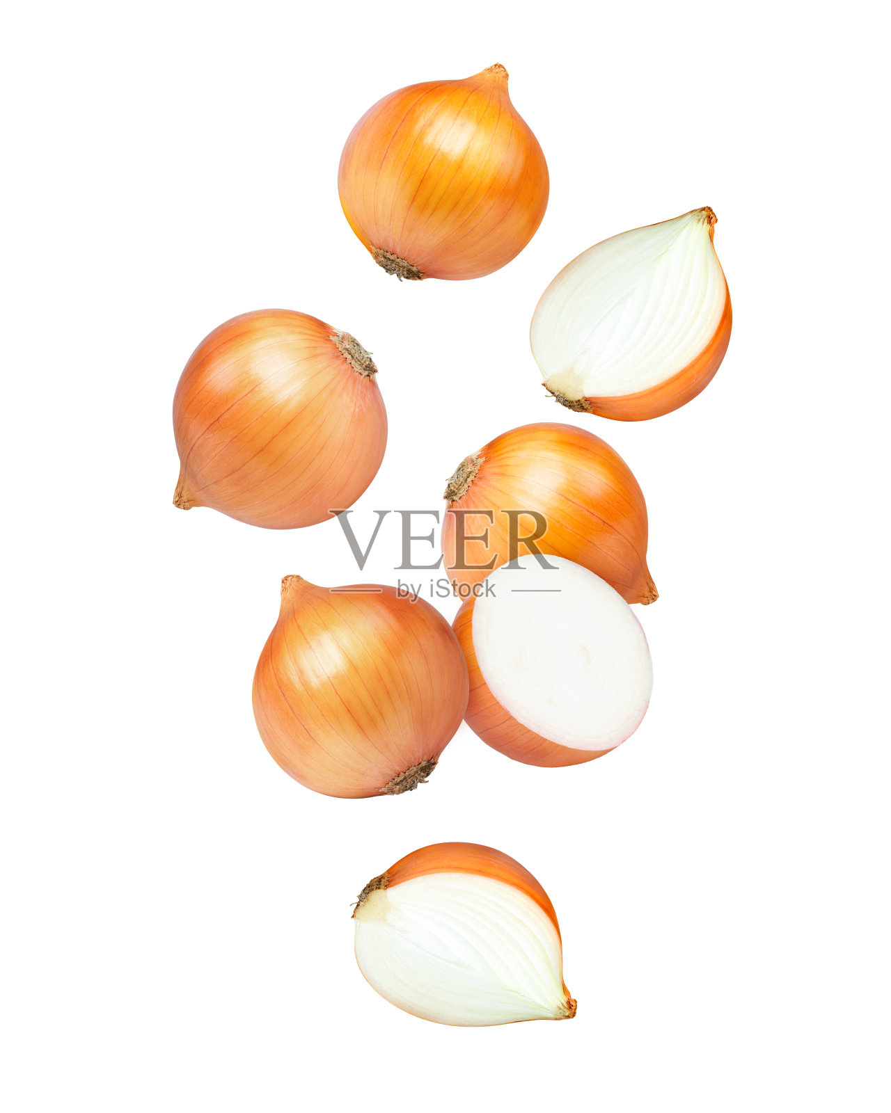 洋葱在白照片摄影图片