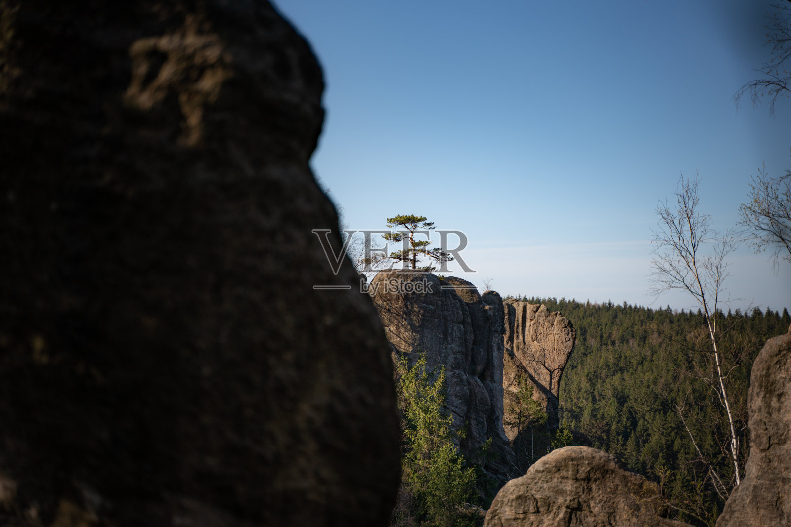 岩石和树木的风景照片摄影图片