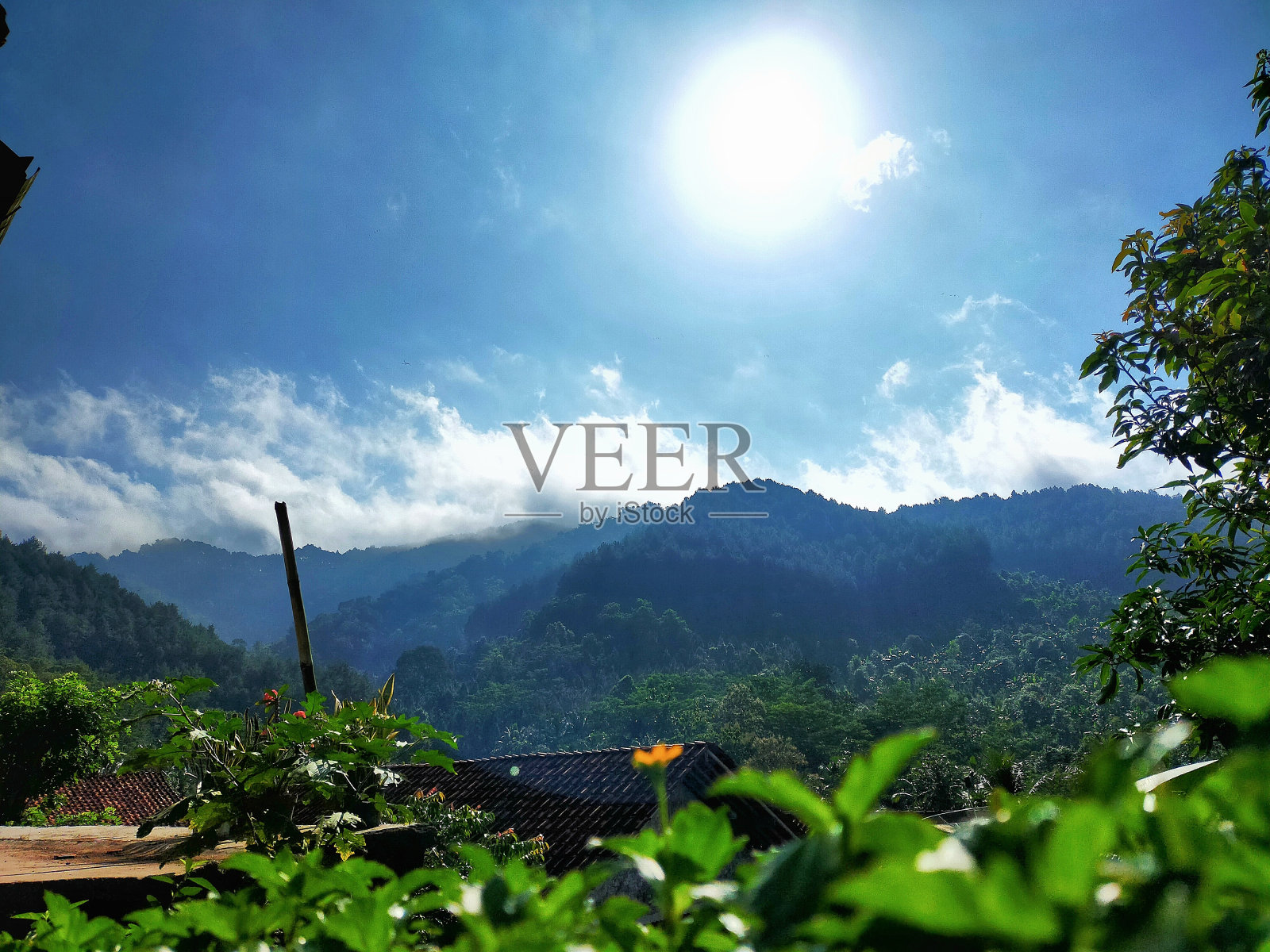 山在寺门浦杨村照片摄影图片