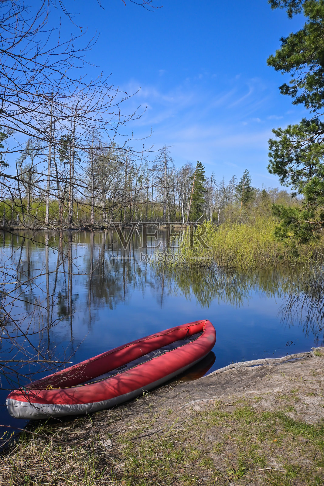 红色充气皮艇在森林河岸边。照片摄影图片