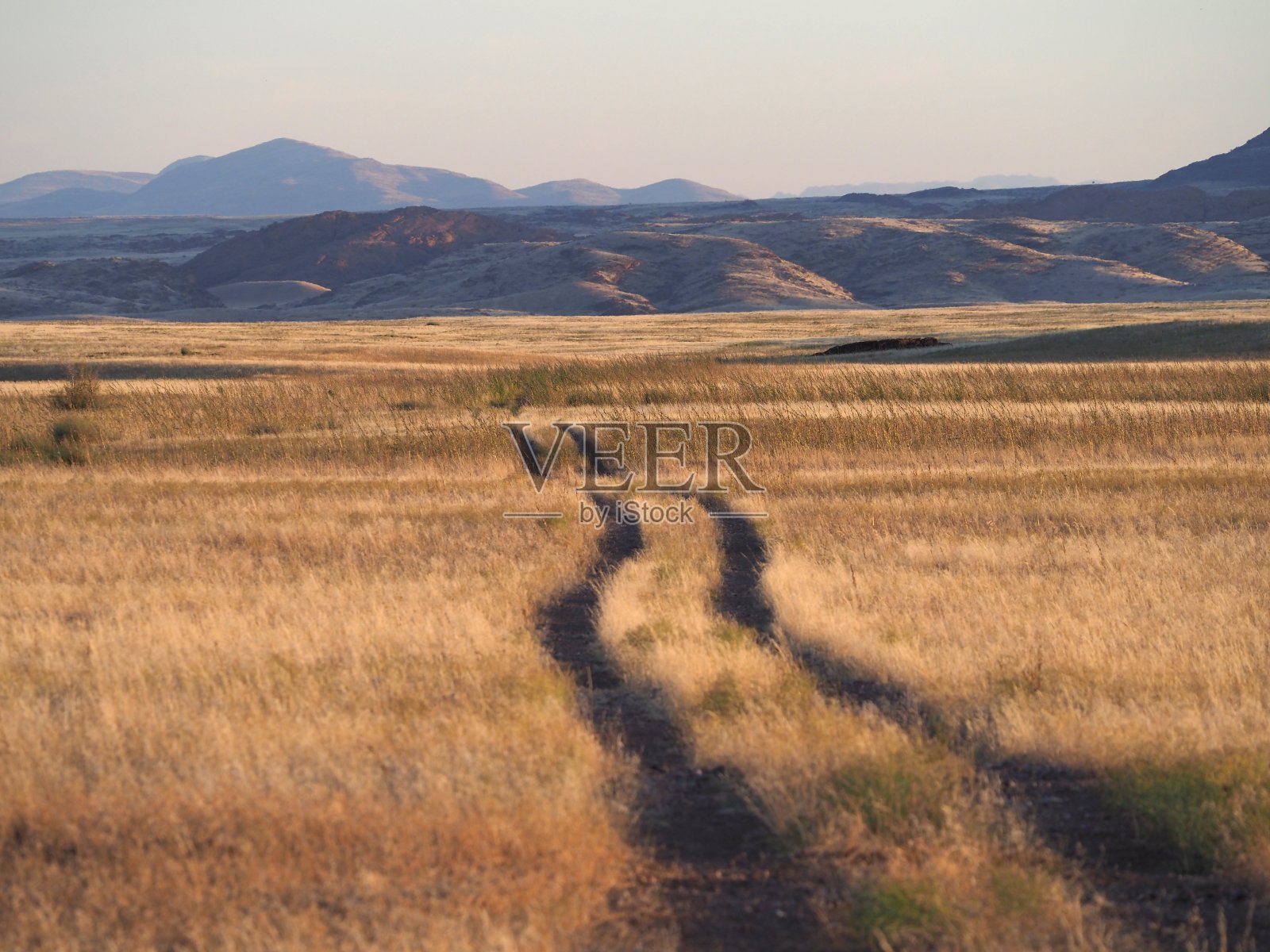黎明时分的纳米比亚,萨凡纳上有汽车跑道照片摄影图片